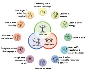 permaculture-principles