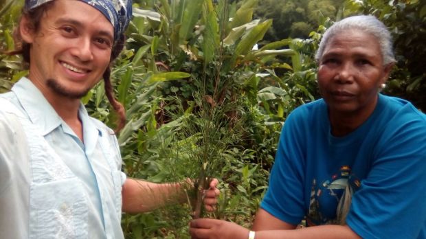 Miss McKenzie and tree