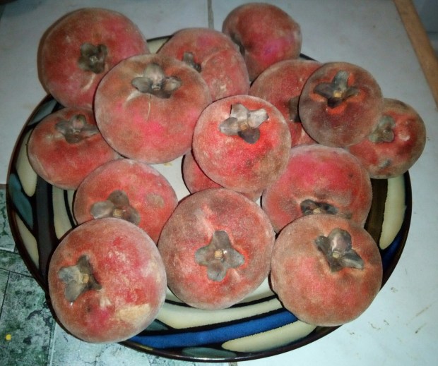 IMG_20181001_192940_887