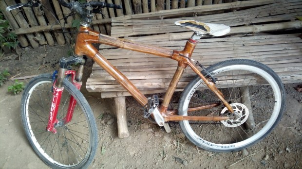 bamboobike