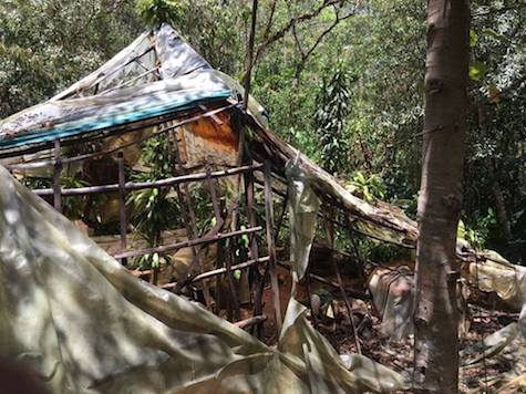 53766511_1688779064557917_4759895100610314240_n